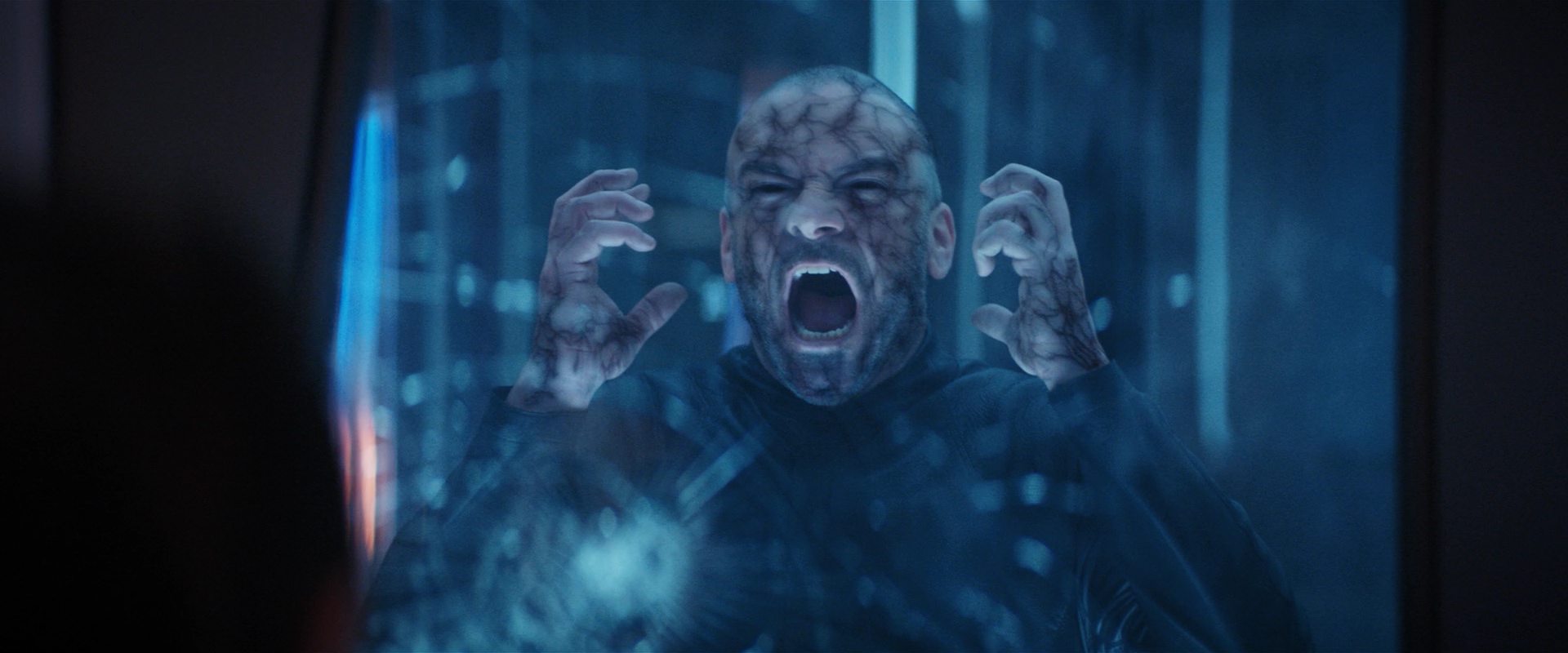 extant_StarTrekDiscovery_2x14-SuchSweetSorrowPart2_06365.jpg