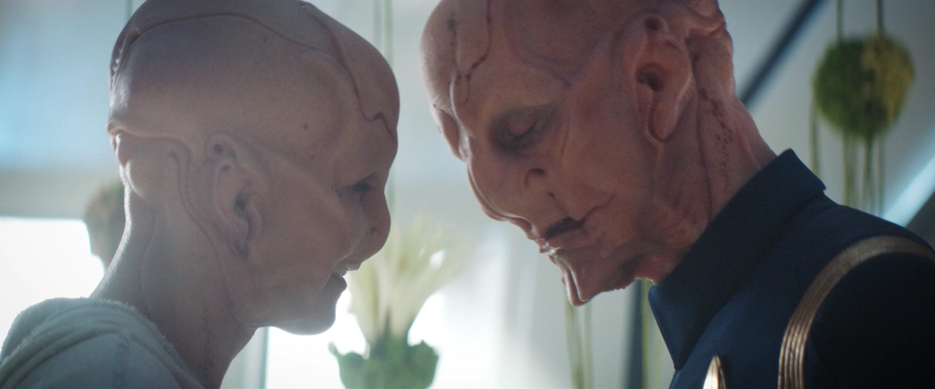 extant_StarTrekDiscovery_2x14-SuchSweetSorrowPart2_06489.jpg