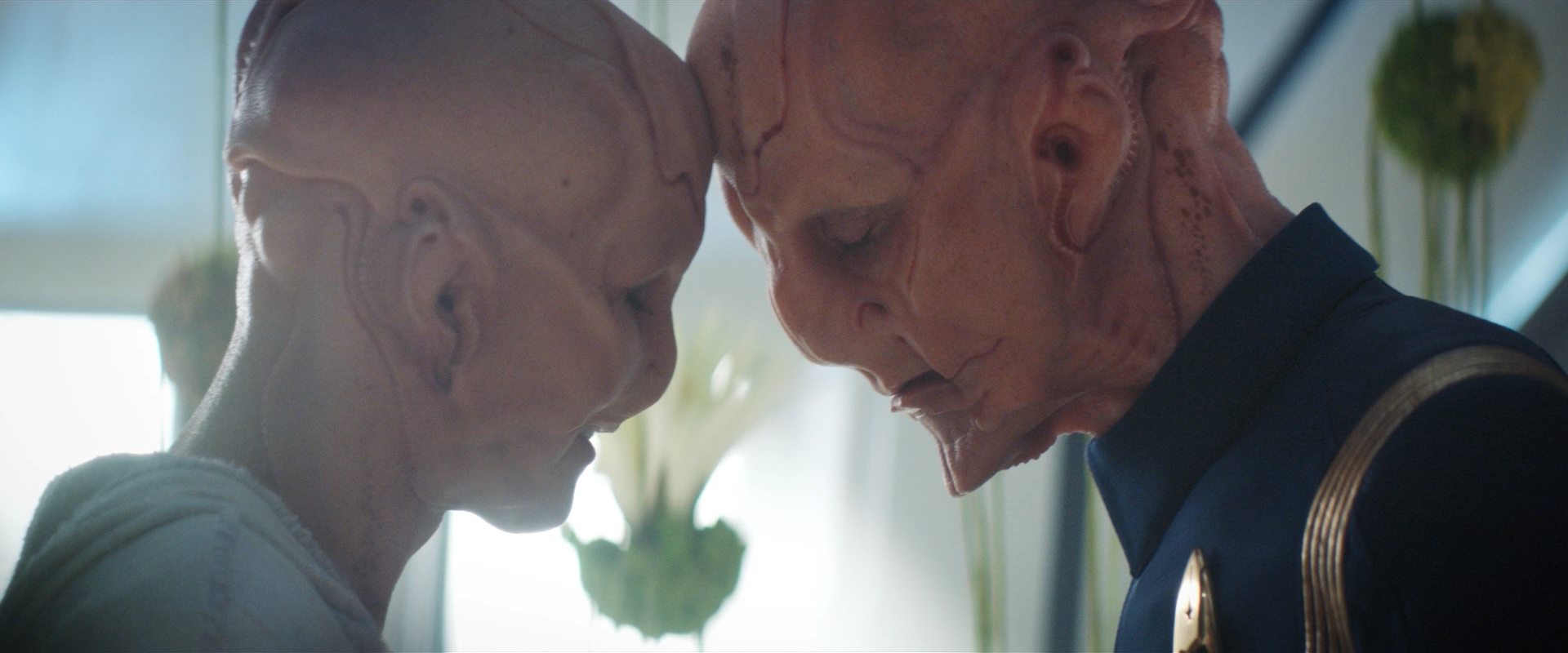 extant_StarTrekDiscovery_2x14-SuchSweetSorrowPart2_06490.jpg