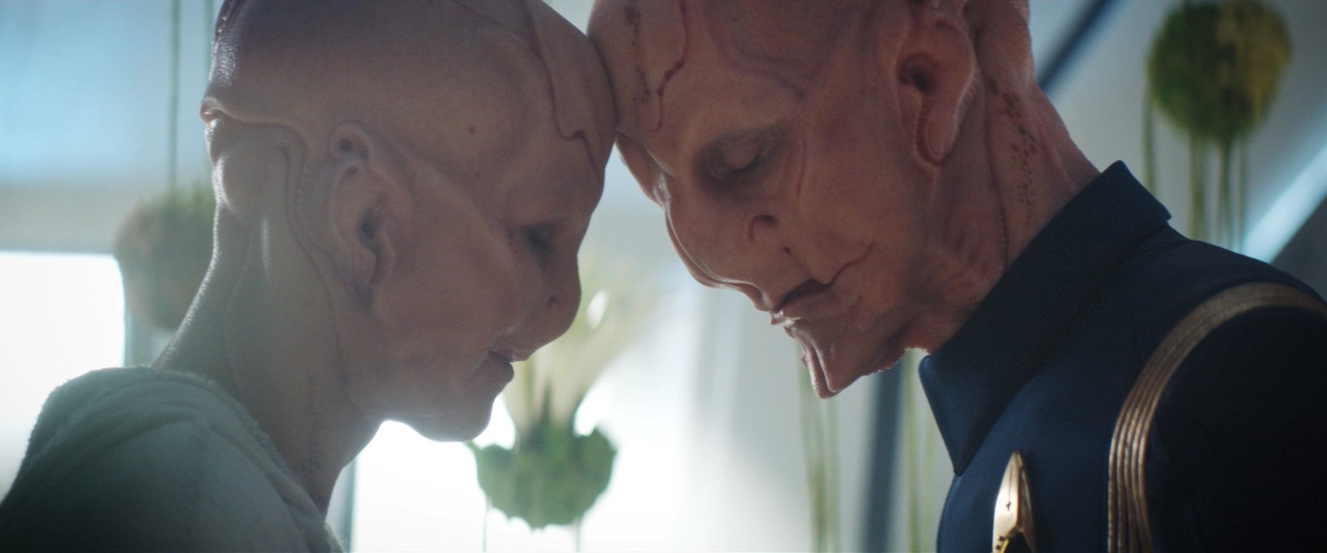 extant_StarTrekDiscovery_2x14-SuchSweetSorrowPart2_06491.jpg