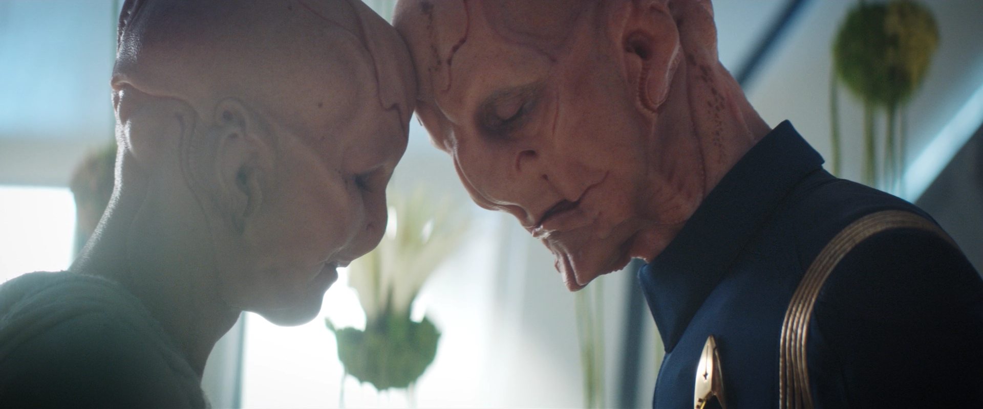 extant_StarTrekDiscovery_2x14-SuchSweetSorrowPart2_06492.jpg