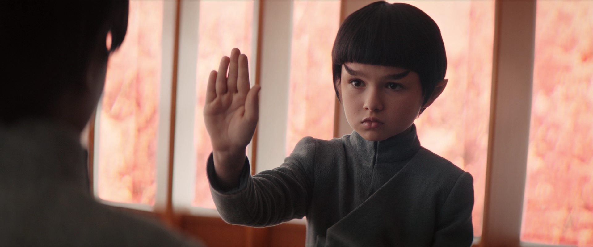 extant_StarTrekDiscovery_2x14-SuchSweetSorrowPart2_06537.jpg