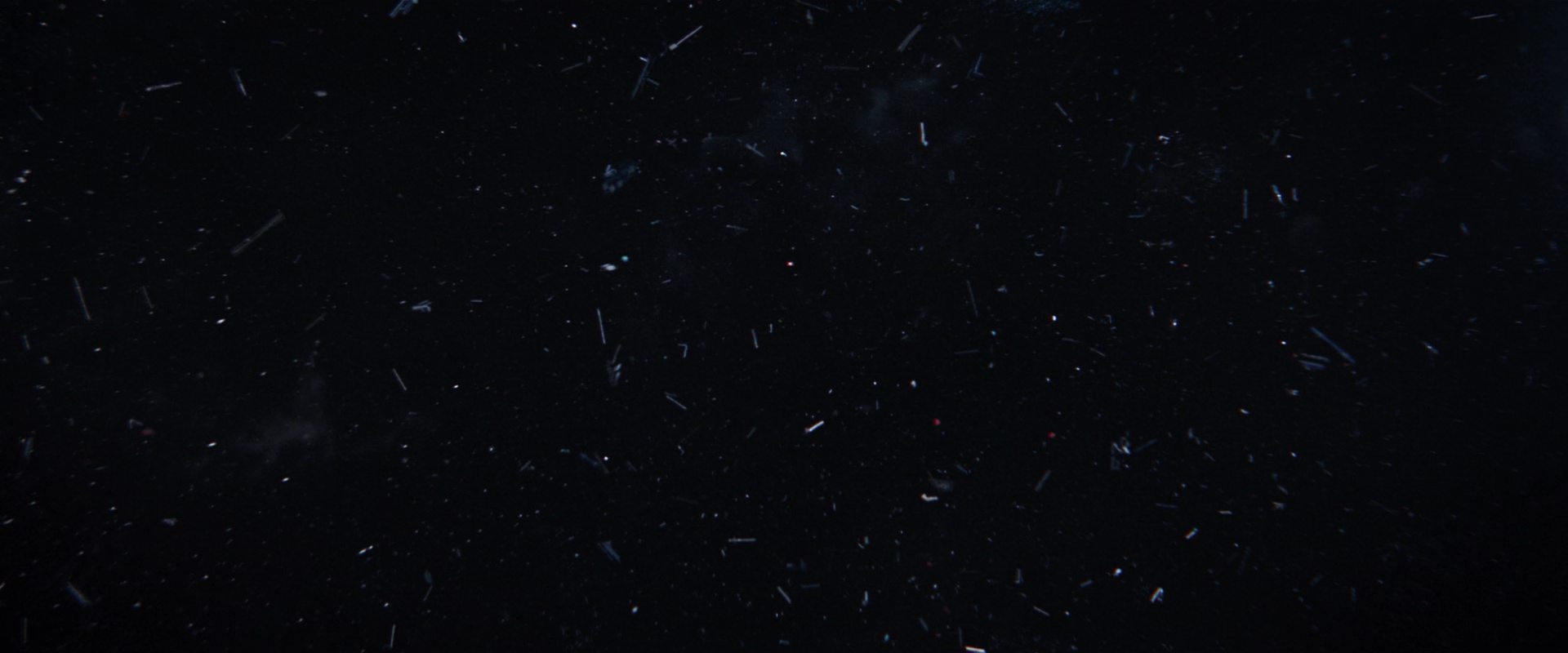 extant_StarTrekDiscovery_2x14-SuchSweetSorrowPart2_06681.jpg