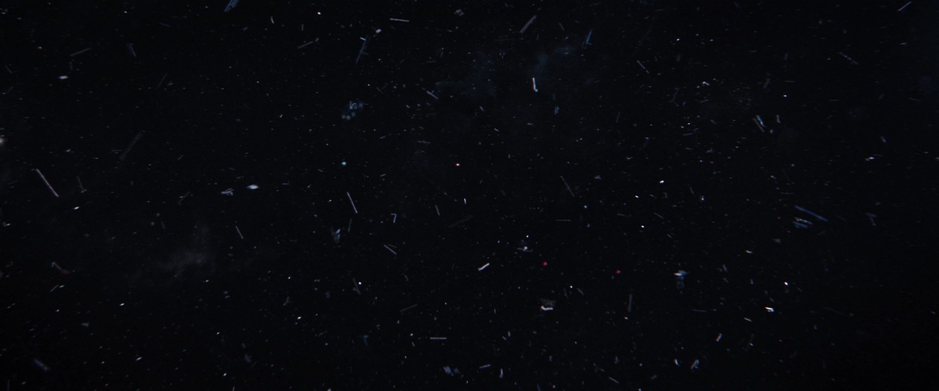 extant_StarTrekDiscovery_2x14-SuchSweetSorrowPart2_06682.jpg