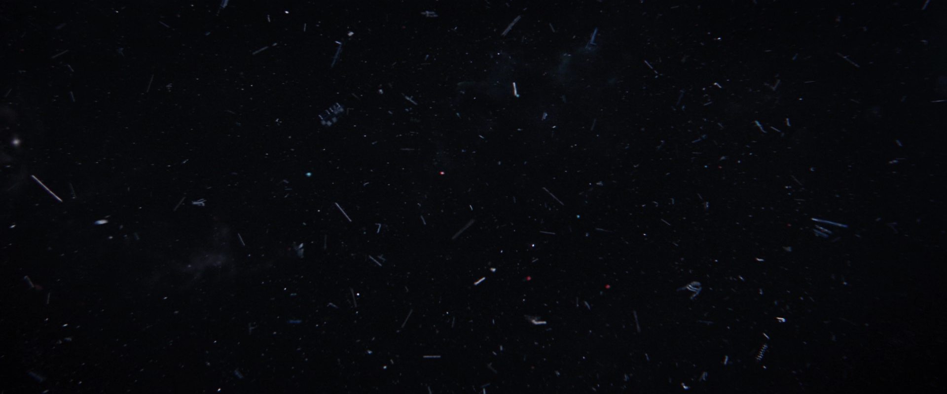 extant_StarTrekDiscovery_2x14-SuchSweetSorrowPart2_06683.jpg