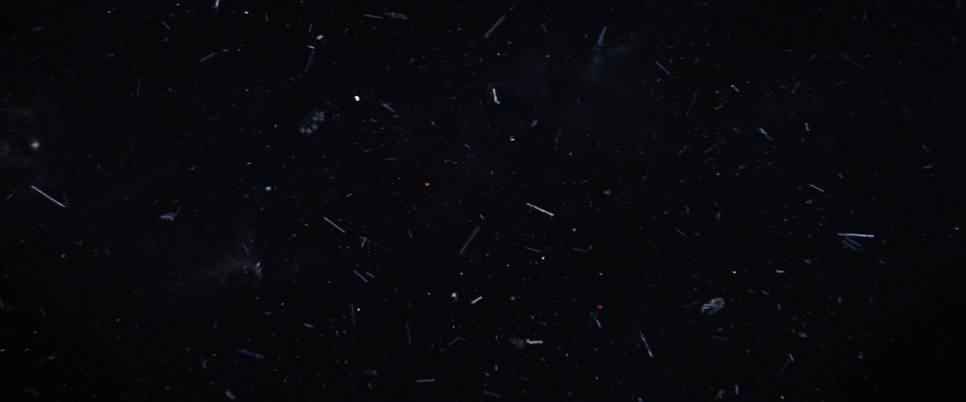 extant_StarTrekDiscovery_2x14-SuchSweetSorrowPart2_06684.jpg