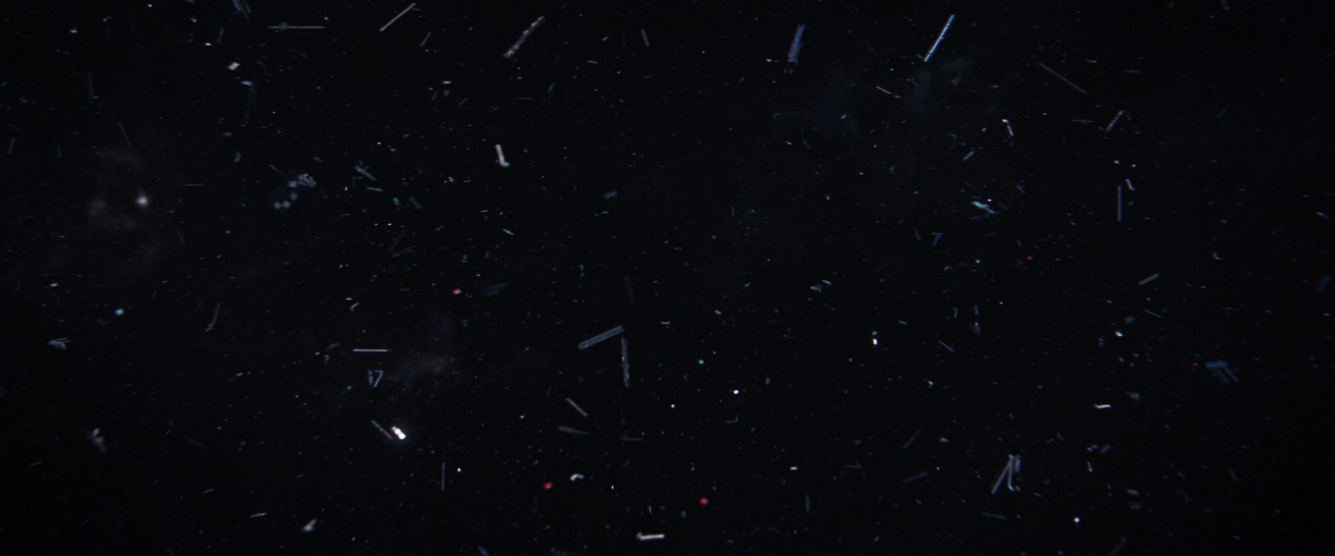 extant_StarTrekDiscovery_2x14-SuchSweetSorrowPart2_06687.jpg