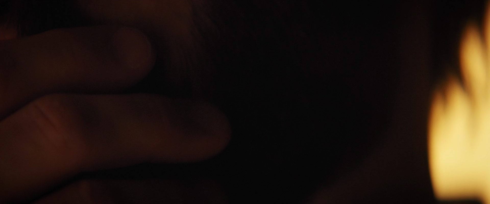 extant_StarTrekDiscovery_2x14-SuchSweetSorrowPart2_07300.jpg