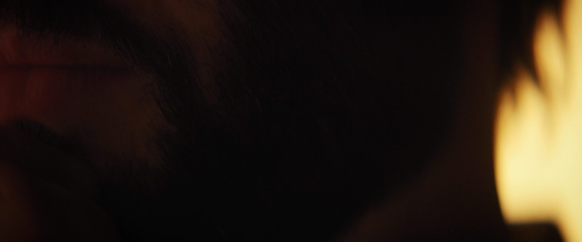 extant_StarTrekDiscovery_2x14-SuchSweetSorrowPart2_07302.jpg