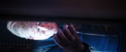 extant_StarTrekDiscovery_2x14-SuchSweetSorrowPart2_01634.jpg