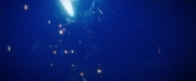 Filename=extant_StarTrekDiscovery_2x14-SuchSweetSorrowPart2_02639.jpg
Filesize=45KiB
Dimensions=1920x800
Date added=Dec 09, 2019 extant_StarTrekDiscovery_2x14-SuchSweetSorrowPart2_02639.jpg