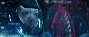 Filename=extant_StarTrekDiscovery_2x14-SuchSweetSorrowPart2_03424.jpg
Filesize=134KiB
Dimensions=1920x800
Date added=Dec 09, 2019 extant_StarTrekDiscovery_2x14-SuchSweetSorrowPart2_03424.jpg