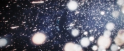 Filename=extant_StarTrekDiscovery_2x14-SuchSweetSorrowPart2_04131.jpg
Filesize=173KiB
Dimensions=1920x800
Date added=Dec 09, 2019 extant_StarTrekDiscovery_2x14-SuchSweetSorrowPart2_04131.jpg