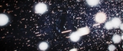 Filename=extant_StarTrekDiscovery_2x14-SuchSweetSorrowPart2_04133.jpg
Filesize=159KiB
Dimensions=1920x800
Date added=Dec 09, 2019 extant_StarTrekDiscovery_2x14-SuchSweetSorrowPart2_04133.jpg