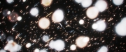 Filename=extant_StarTrekDiscovery_2x14-SuchSweetSorrowPart2_04142.jpg
Filesize=152KiB
Dimensions=1920x800
Date added=Dec 09, 2019 extant_StarTrekDiscovery_2x14-SuchSweetSorrowPart2_04142.jpg