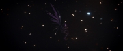 extant_StarTrekDiscovery_2x14-SuchSweetSorrowPart2_04172.jpg