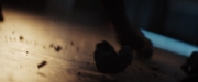 Filename=extant_StarTrekDiscovery_2x14-SuchSweetSorrowPart2_04516.jpg
Filesize=73KiB
Dimensions=1920x800
Date added=Dec 09, 2019 extant_StarTrekDiscovery_2x14-SuchSweetSorrowPart2_04516.jpg