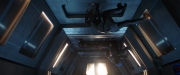 Filename=extant_StarTrekDiscovery_2x14-SuchSweetSorrowPart2_04559.jpg
Filesize=121KiB
Dimensions=1920x800
Date added=Dec 09, 2019 extant_StarTrekDiscovery_2x14-SuchSweetSorrowPart2_04559.jpg