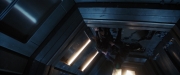 extant_StarTrekDiscovery_2x14-SuchSweetSorrowPart2_04607.jpg