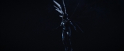 Filename=extant_StarTrekDiscovery_2x14-SuchSweetSorrowPart2_04717.jpg
Filesize=45KiB
Dimensions=1920x800
Date added=Dec 09, 2019 extant_StarTrekDiscovery_2x14-SuchSweetSorrowPart2_04717.jpg