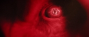 Filename=extant_StarTrekDiscovery_2x14-SuchSweetSorrowPart2_04740.jpg
Filesize=49KiB
Dimensions=1920x800
Date added=Dec 09, 2019 extant_StarTrekDiscovery_2x14-SuchSweetSorrowPart2_04740.jpg