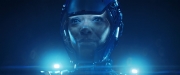 Filename=extant_StarTrekDiscovery_2x14-SuchSweetSorrowPart2_05778.jpg
Filesize=85KiB
Dimensions=1920x800
Date added=Dec 09, 2019 extant_StarTrekDiscovery_2x14-SuchSweetSorrowPart2_05778.jpg
