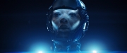 extant_StarTrekDiscovery_2x14-SuchSweetSorrowPart2_05895.jpg