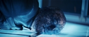 extant_StarTrekDiscovery_2x14-SuchSweetSorrowPart2_06409.jpg