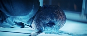 Filename=extant_StarTrekDiscovery_2x14-SuchSweetSorrowPart2_06413.jpg
Filesize=172KiB
Dimensions=1920x800
Date added=Dec 09, 2019 extant_StarTrekDiscovery_2x14-SuchSweetSorrowPart2_06413.jpg