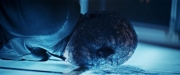 Filename=extant_StarTrekDiscovery_2x14-SuchSweetSorrowPart2_06415.jpg
Filesize=167KiB
Dimensions=1920x800
Date added=Dec 09, 2019 extant_StarTrekDiscovery_2x14-SuchSweetSorrowPart2_06415.jpg