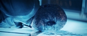 Filename=extant_StarTrekDiscovery_2x14-SuchSweetSorrowPart2_06416.jpg
Filesize=184KiB
Dimensions=1920x800
Date added=Dec 09, 2019 extant_StarTrekDiscovery_2x14-SuchSweetSorrowPart2_06416.jpg