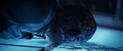 Filename=extant_StarTrekDiscovery_2x14-SuchSweetSorrowPart2_06417.jpg
Filesize=151KiB
Dimensions=1920x800
Date added=Dec 09, 2019 extant_StarTrekDiscovery_2x14-SuchSweetSorrowPart2_06417.jpg
