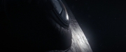 Filename=extant_StarTrekDiscovery_2x14-SuchSweetSorrowPart2_07597.jpg
Filesize=64KiB
Dimensions=1920x800
Date added=Dec 09, 2019 extant_StarTrekDiscovery_2x14-SuchSweetSorrowPart2_07597.jpg