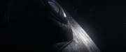 Filename=extant_StarTrekDiscovery_2x14-SuchSweetSorrowPart2_07598.jpg
Filesize=68KiB
Dimensions=1920x800
Date added=Dec 09, 2019 extant_StarTrekDiscovery_2x14-SuchSweetSorrowPart2_07598.jpg