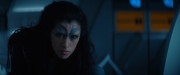 Filename=extant_StarTrekDiscovery_ShortTreks0001_Runaway_0663.jpg
Filesize=83KiB
Dimensions=1920x800
Date added=Oct 05, 2018 extant_StarTrekDiscovery_ShortTreks0001_Runaway_0663.jpg