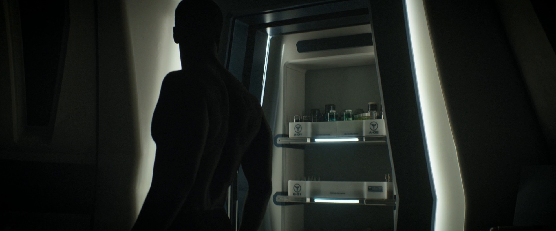 extant_StarTrekDiscovery_ShortTreks0002_Calypso_0248.jpg