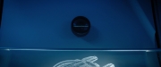 Filename=extant_StarTrekDiscovery_ShortTreks0002_Calypso_1231.jpg
Filesize=123KiB
Dimensions=1920x800
Date added=Nov 16, 2018 extant_StarTrekDiscovery_ShortTreks0002_Calypso_1231.jpg