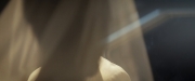 extant_StarTrekDiscovery_ShortTreks0002_Calypso_1360.jpg