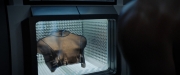 extant_StarTrekDiscovery_ShortTreks0002_Calypso_1610.jpg