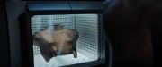 extant_StarTrekDiscovery_ShortTreks0002_Calypso_1611.jpg