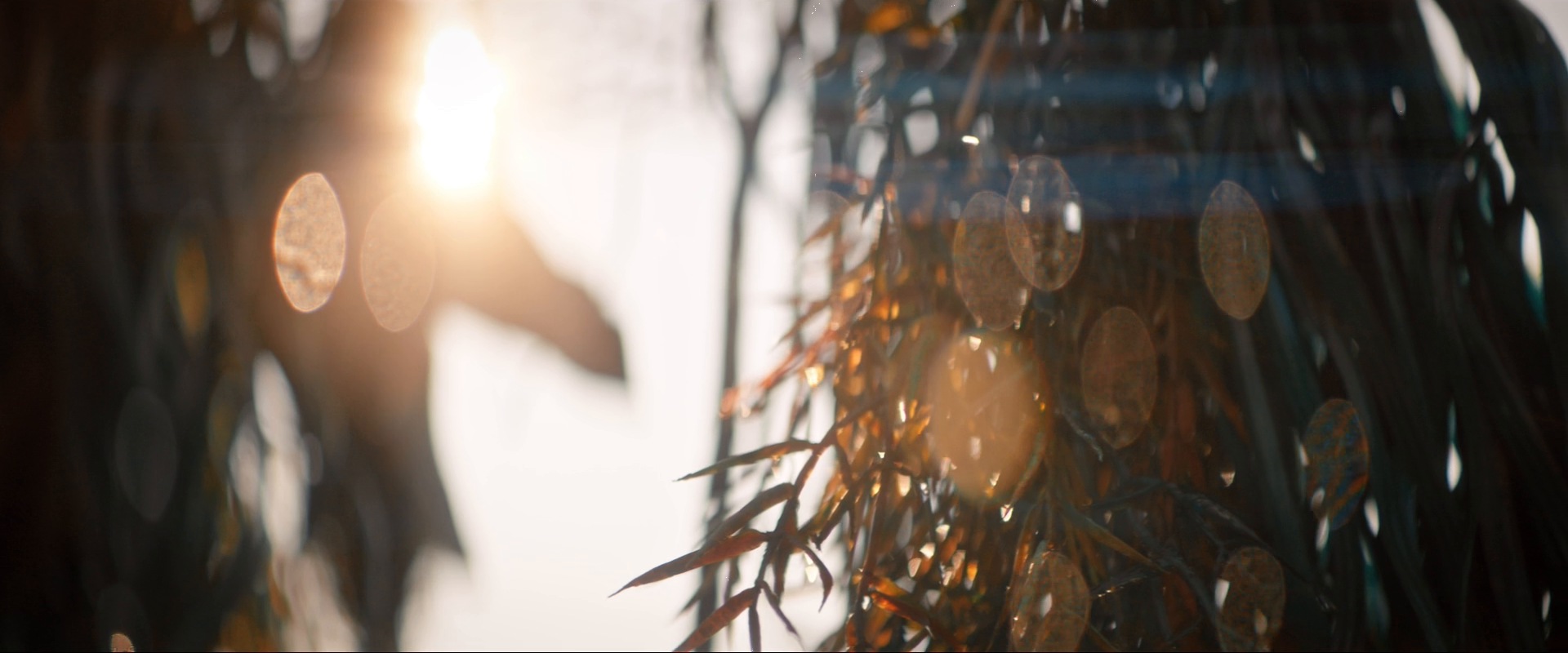extant_StarTrekDiscovery_ShortTreks0003_TheBrightestStar_0061.jpg