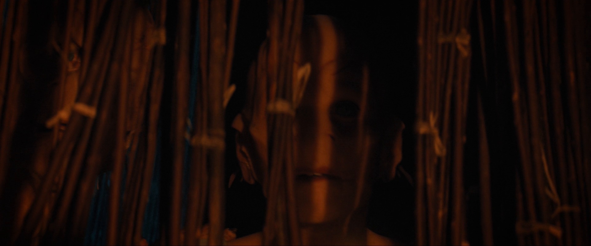 extant_StarTrekDiscovery_ShortTreks0003_TheBrightestStar_0151.jpg