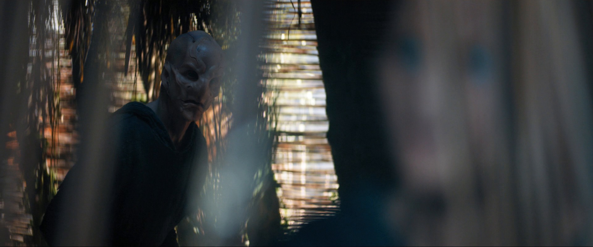 extant_StarTrekDiscovery_ShortTreks0003_TheBrightestStar_0254.jpg