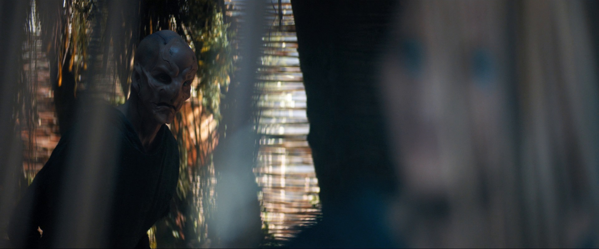 extant_StarTrekDiscovery_ShortTreks0003_TheBrightestStar_0256.jpg