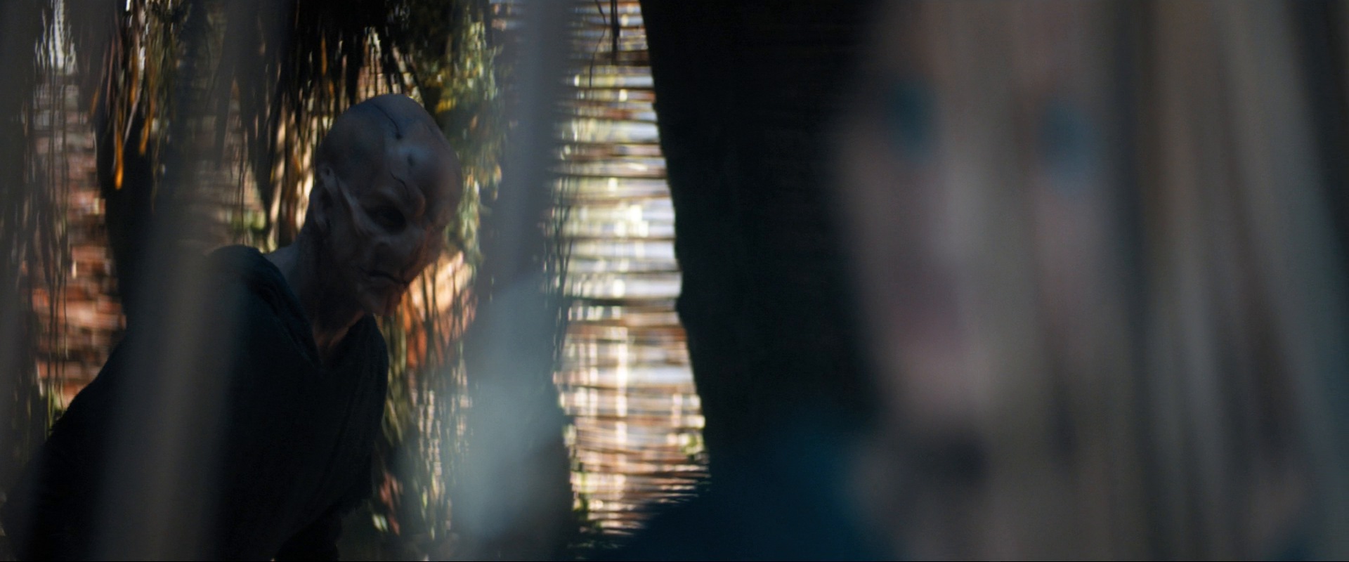 extant_StarTrekDiscovery_ShortTreks0003_TheBrightestStar_0257.jpg