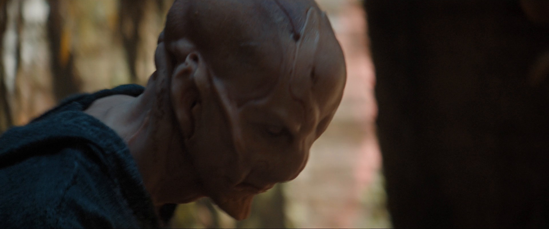 extant_StarTrekDiscovery_ShortTreks0003_TheBrightestStar_0299.jpg