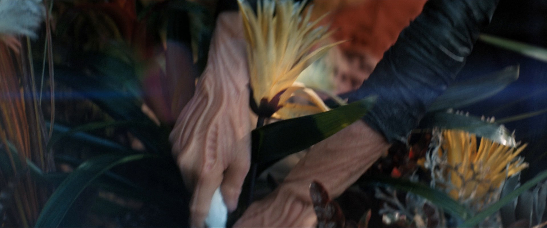 extant_StarTrekDiscovery_ShortTreks0003_TheBrightestStar_0681.jpg