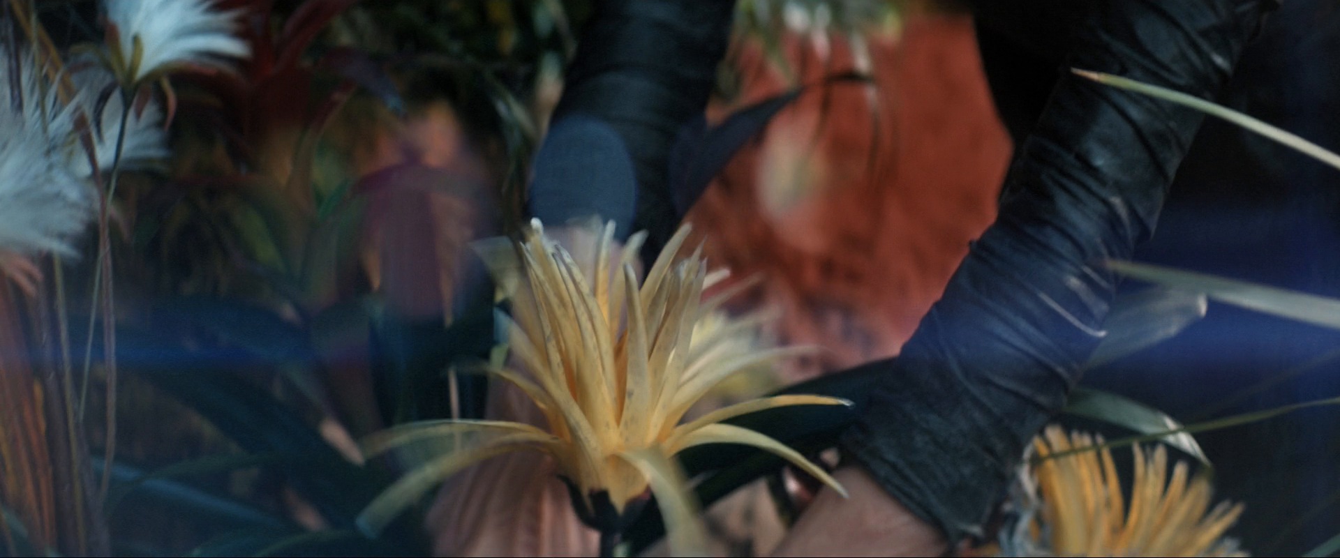 extant_StarTrekDiscovery_ShortTreks0003_TheBrightestStar_0682.jpg