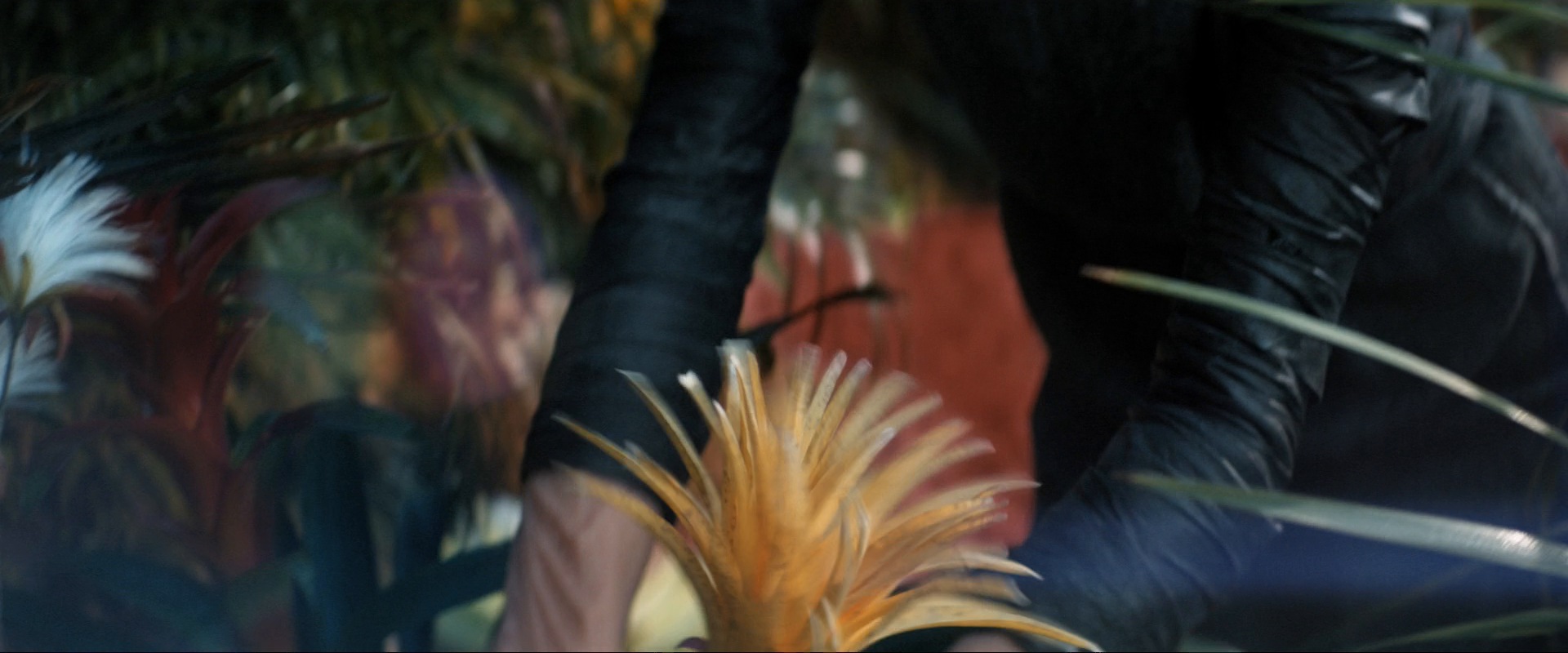extant_StarTrekDiscovery_ShortTreks0003_TheBrightestStar_0683.jpg