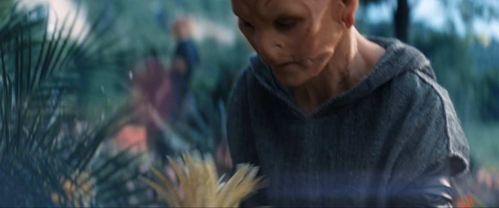 extant_StarTrekDiscovery_ShortTreks0003_TheBrightestStar_0686.jpg